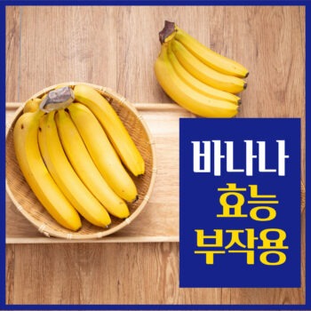 바나나 효능