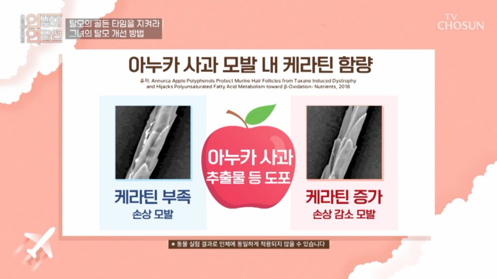 아누카사과분말