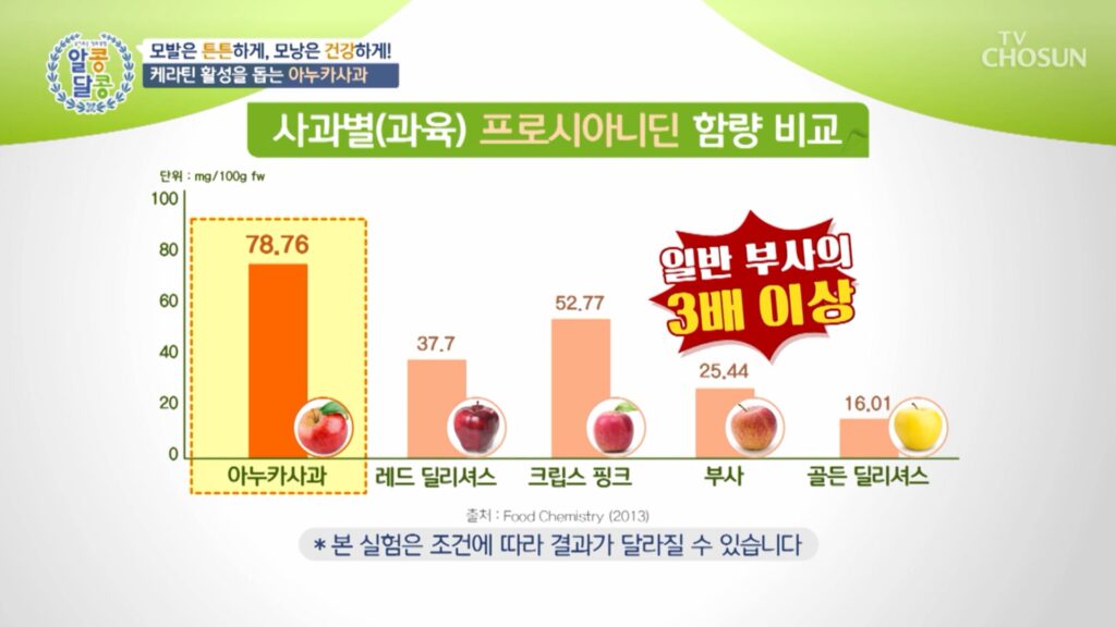 아누카사과추출분말