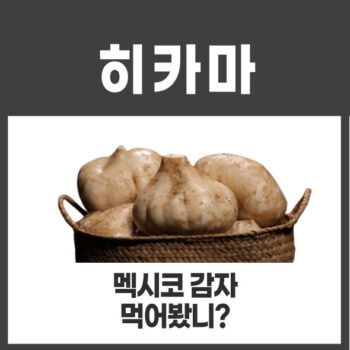 히카마