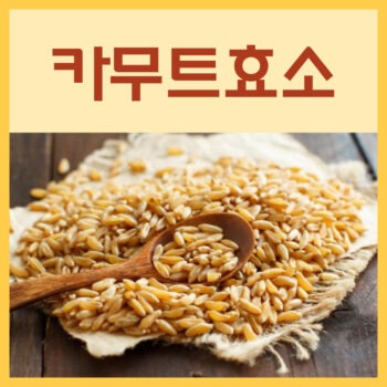 카무트효소