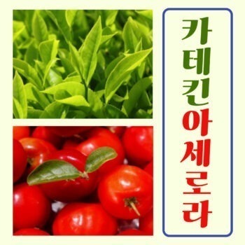 카테킨아세로라