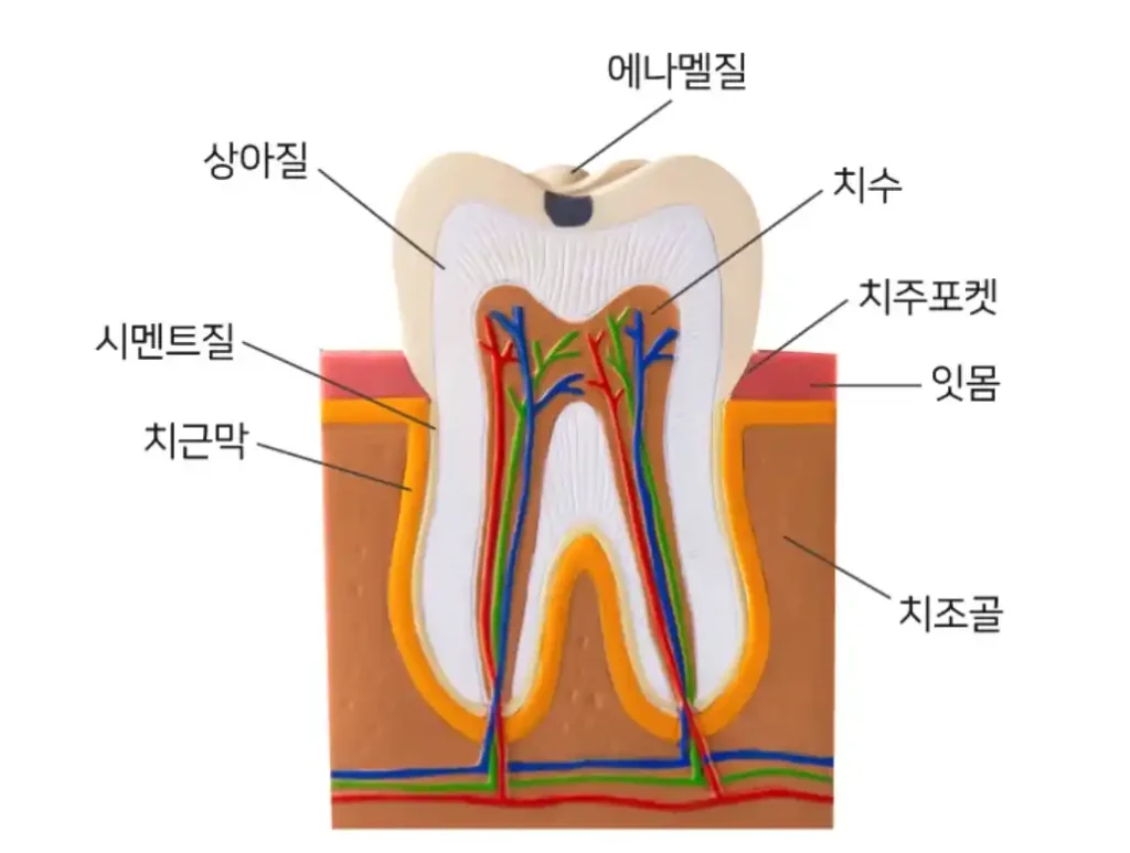 오가닉산 식초 부작용