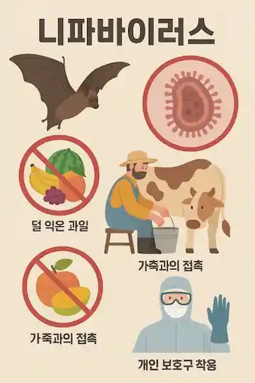 니파바이러스 관련주 및 니파 바이러스 증상 베트남 국내 상황 니파바이러스 백신