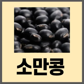 소만콩