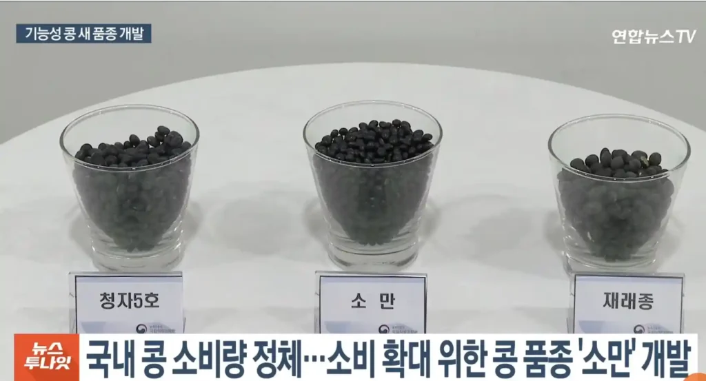 소만콩 효능 & 소만콩 구매하기 (진천농장 소만콩 판매) 소만콩
