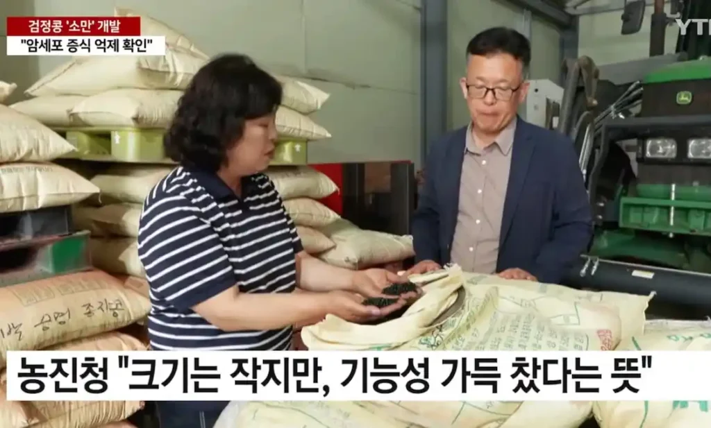 소만콩 효능 & 소만콩 구매하기 (진천농장 소만콩 판매) 소만콩 종자
