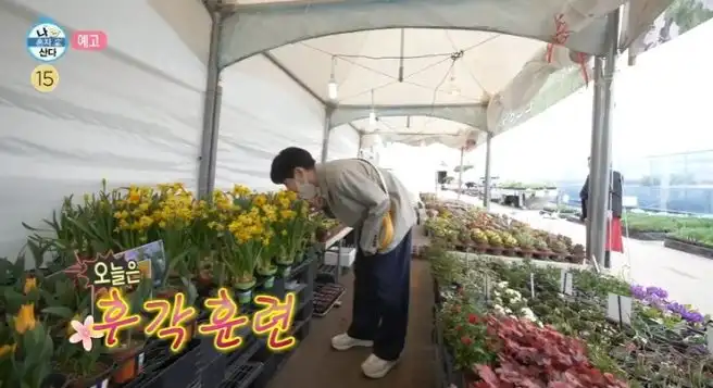 튜베로즈 구근 판매