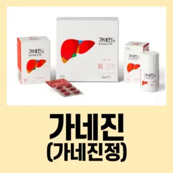 가네진정