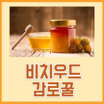 비치우드 감로꿀