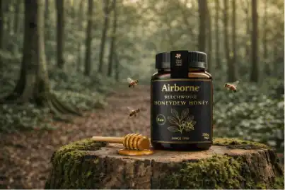 에어본 비치우드 감로꿀