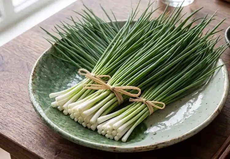 파김치 담그는법 황금레시피 간단 레시피|쪽파김치 담그는법 전라도파김치 쪽파김치 담그는법