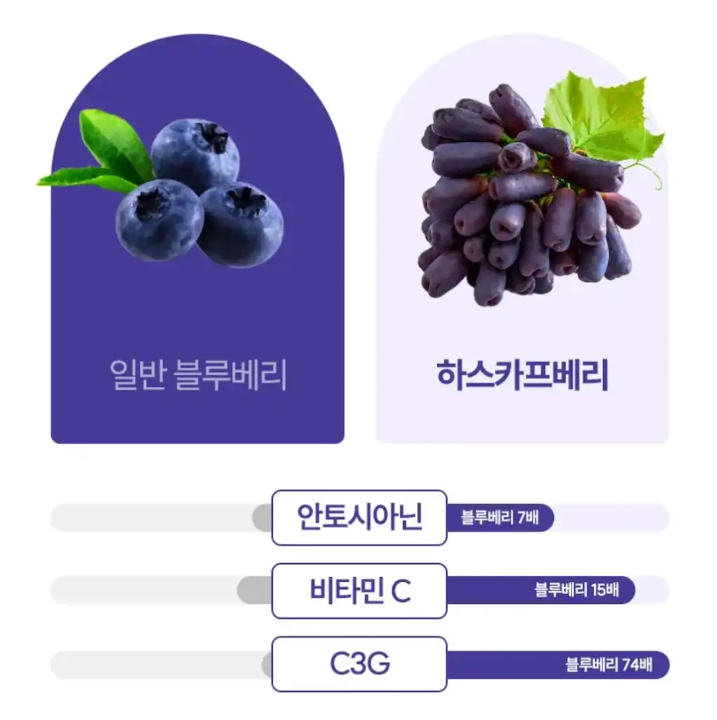 하스카프베리효능