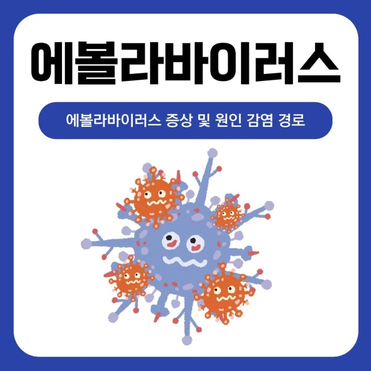 에볼라바이러스 뜻 증상 원인 치사율 백신 (에볼라바이러스 관련주) 에볼라바이러스 관련주
