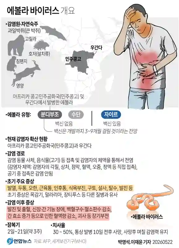에볼라바이러스 뜻 증상 원인 치사율 백신 (에볼라바이러스 관련주) 에볼라바이러스 원인