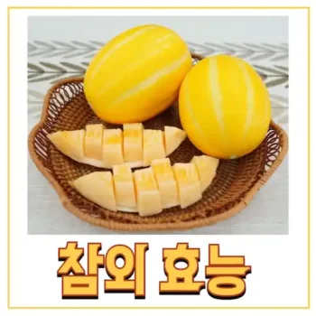 참외효능