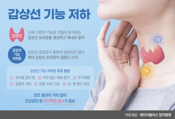 미역 다시마 요오드 과다섭취? 갑상선 저하증 환자가 피해야 할 해조류 종류 갑상선 저하증 원인
