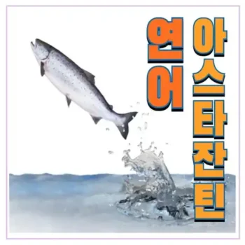 연어 효능