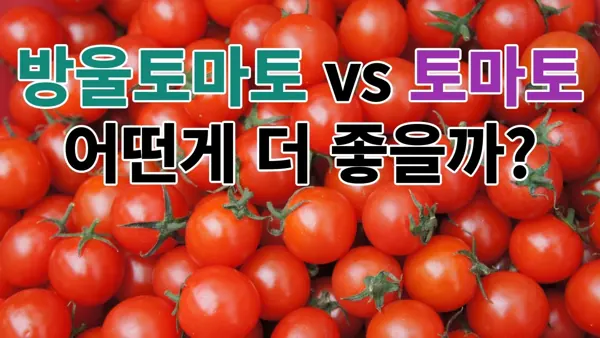 방울토마토 효능