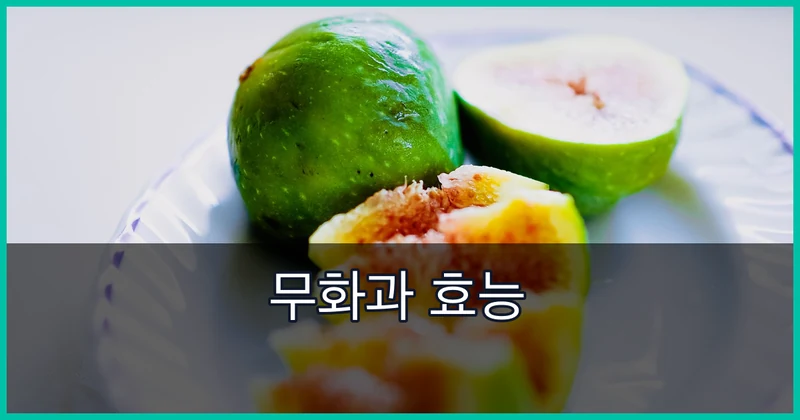 무화과 효능