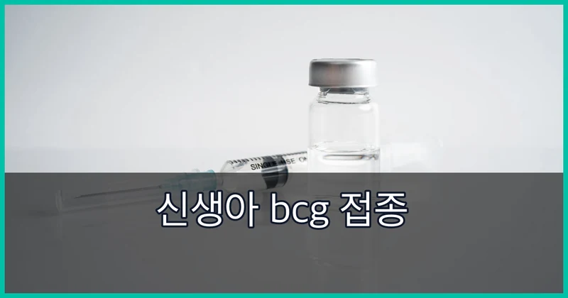 신생아 bcg 접종