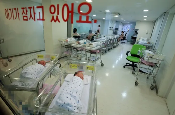 신생아 bcg 접종시기