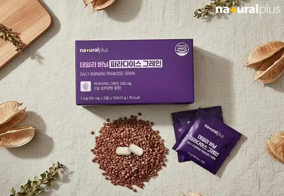 파라다이스그레인 가격