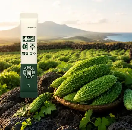 여주발효효소효능