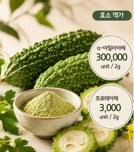 제주산 여주 발효 효소 효능